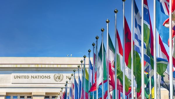 An assortment of flags leading to a concrete building that says "UNITED NATIONS." 