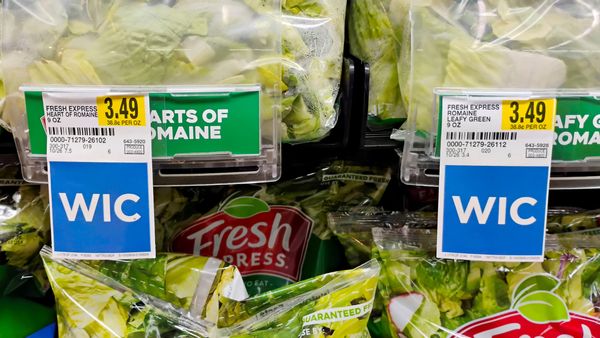Lettuce is shown in a store. It is priced at $3.49 and has a little blue sign with WIC in white letters attached.
