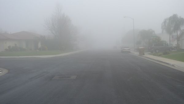 Photo of thick fog hanging over a neighborhood street in Bakersfield, California. Two houses on either side of the street are visible before all else is obscured in fog