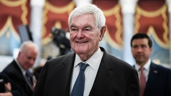Newt Gingrich, a white man with white hair, smiles while wearing a suit and blue checkered tie.