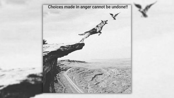 Black-and-white image of a dog chasing a bird off a cliff with text reading, 'Choices made in anger cannot be undone!!"