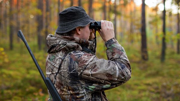 A man in camouflage using binoculars in the forest. 