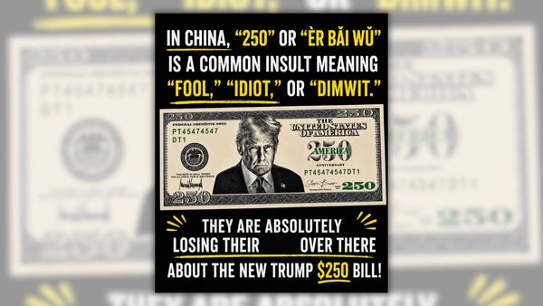 A graphic reads, "In China, "250" or "Èr băI wũ" is a common insult meaning "Fool," "Idiot," or "Dimwit." They are absolutely losing their s*** over there about the new trump $250 bill!"