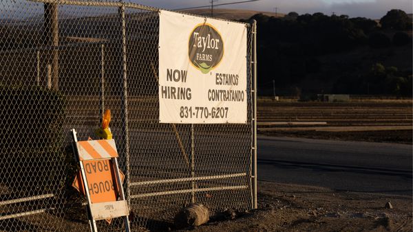 A fence with a sign hanging on it that says "Taylor Farms: NOW HIRING" in English and Spanish. 