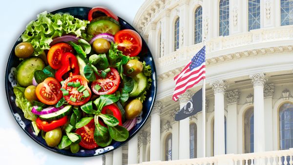 An image shows a fresh salad bowl superimposed over a faded look at the exterior of the US Capitol Rotunda.