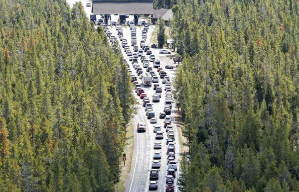 An aerial shot of a road through a pine forest with lots of car traffic. At the top of the photo, the road widens to accommodate an entrance station to Yellowstone National Park