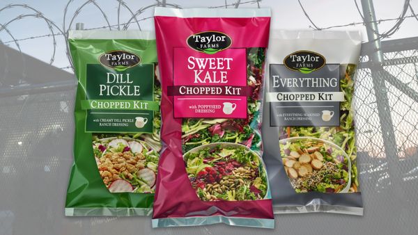 Photo illustration shows Taylor Farms bagged salad kits, including Dill Pickle, Sweet Kale and Everything, on a barbed wire fence background.