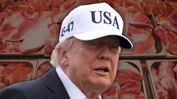Illustration featuring raw beef cutlets in the background and a photo of U.S. President Donald Trump wearing a white hat with "USA."