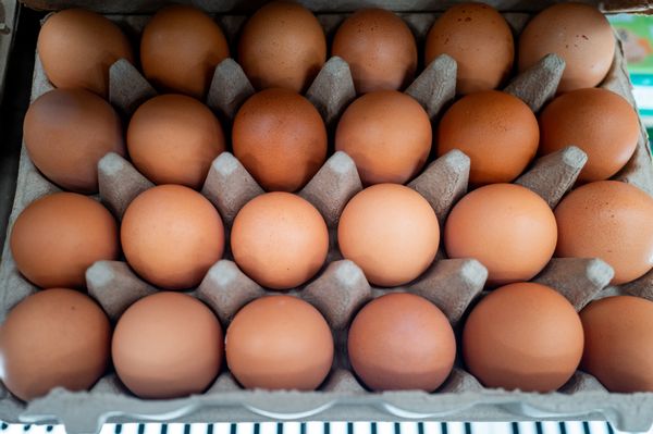 Four rows of brown eggs are shown.